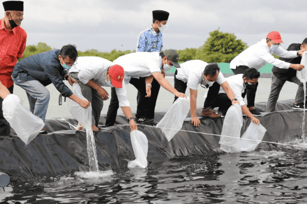 Menilik Budidaya Udang Vaname di Babakan Kawunganten, Desa Sejahtera Astra 2022 © cilacapkab.go.id