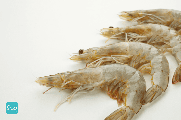 Udang Putih © canva Tyas Indayanti